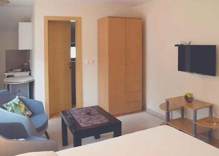 Ljubica Vrnjačka Banja